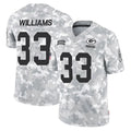 GB.Packers #33 Evan Williams Player Arctic Camo Salute To Service Limited STECN Stitched Jerseys