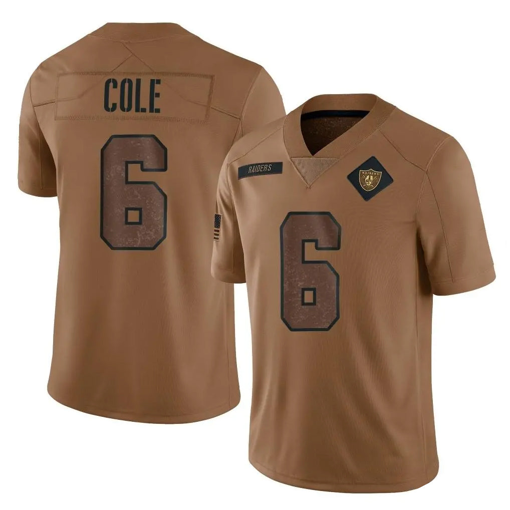 LV.Raiders #6 A.J. Cole Player Brown Salute To Service Limited STECN Stitched Jerseys
