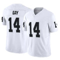LV.Raiders #14 Matt Gay Player White Limited Vapor F.U.S.E. Home Game STECN Stitched Jerseys