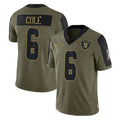 LV.Raiders #6 A.J. Cole Player Olive Salute To Service Limited Game STECN Stitched Jerseys