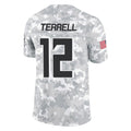 STECN A.Falcons #12 Avieon Terrell Player Arctic Camo Salute to Service Limited Stitched Jerseys