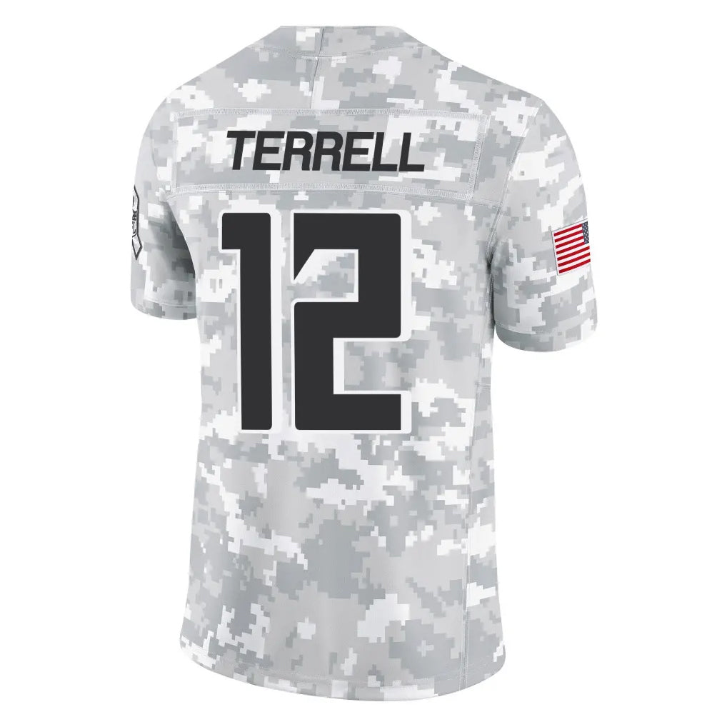 STECN A.Falcons #12 Avieon Terrell Player Arctic Camo Salute to Service Limited Stitched Jerseys