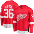 STECN D.Red wings #36 John Gibson Red Home Breakaway Jerseys
