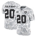 STECN LV.Raiders #20 Isaiah Pola-Mao Player Arctic Camo Salute To Service Limited Game Stitched Jerseys