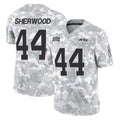 STECN NY.Jets #44 Jamien Sherwood Player Arctic Camo Salute to Service Limited Game Stitched Jerseys