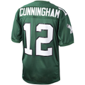 STECN P.Eagles 1992 #12 Randall Cunningham Mitchell & Ness Green Authentic Throwback Retired Player Stitched Puhic Jersey