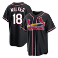 STECN St. Louis Cardinals #18 Jordan Walker Player Black Carbon Fashio Game Stitched Jerseys
