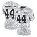 NY.Jets #44 Jamien Sherwood Player Arctic Camo Salute to Service Limited Game STECN Stitched Jerseys